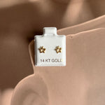 Hollow Star Studs